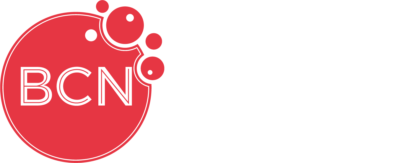 BCN Serveis Integrals